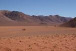 Namib desert